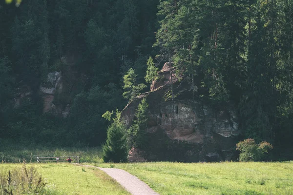 Beautyful sabah orman Nehri - vintage etkisi ışık