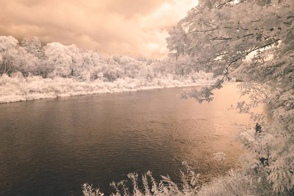 su yansımalar. kızılötesi görüntü - vintage etkisi