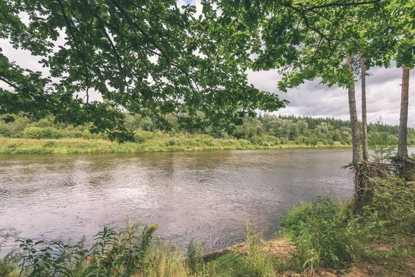meşe ağacının dalları yaz Nehri - vintage etkisi üzerinde