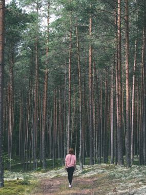Orman - vintage eski genç kadın zevk doğada bak