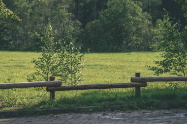 vintage eski güzel sonbahar - parkında eski ahşap çit bak