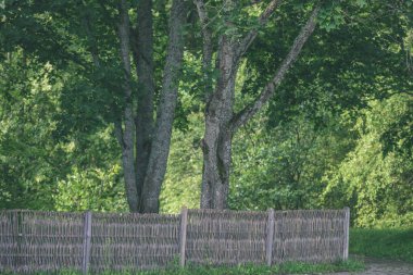 vintage eski güzel sonbahar - parkında eski ahşap çit bak
