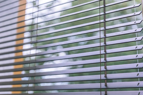 Vintage eski ev ve ofis - modern ahşap köre bak