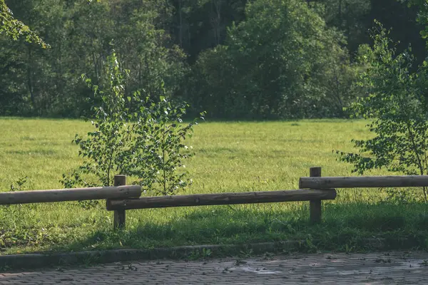 vintage eski güzel sonbahar - parkında eski ahşap çit bak