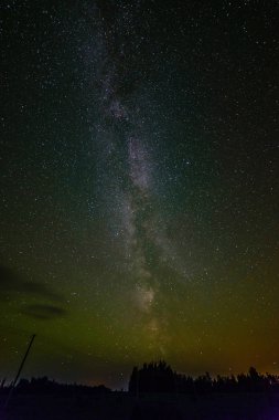 Samanyolu gece gökyüzünde yıldızlar ve bazı ağaçları ile.