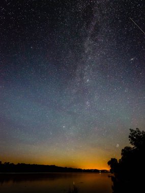 Güzel Samanyolu galaksisinin bir gece gökyüzü ve ağaç silüeti