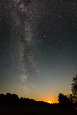 Güzel Samanyolu galaksisinin bir gece gökyüzü ve ağaç silüeti