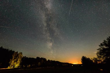 Güzel Samanyolu galaksisinin bir gece gökyüzü ve ağaç silüeti