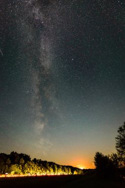 Güzel Samanyolu galaksisinin bir gece gökyüzü ve ağaç silüeti