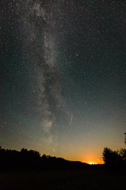 Güzel Samanyolu galaksisinin bir gece gökyüzü ve ağaç silüeti
