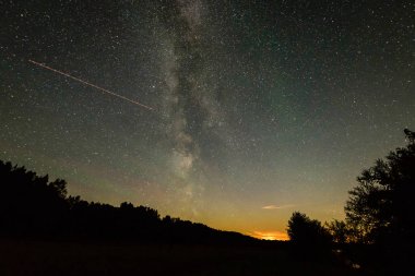 Güzel Samanyolu galaksisinin bir gece gökyüzü ve ağaç silüeti
