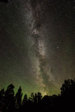 Güzel Samanyolu galaksisinin bir gece gökyüzü ve ağaç silüeti