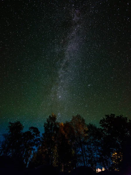 La Vía Láctea en el cielo nocturno con estrellas y algunos árboles . — Foto de Stock