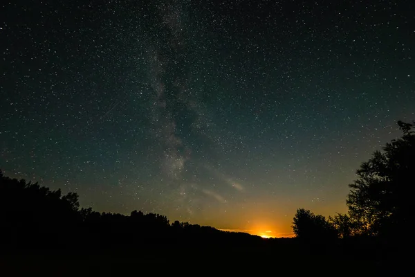 Güzel Samanyolu galaksisinin bir gece gökyüzü ve ağaç silüeti