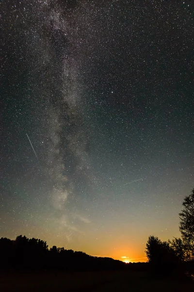 Hermosa galaxia de la Vía Láctea en un cielo nocturno y silueta de árbol — Foto de Stock