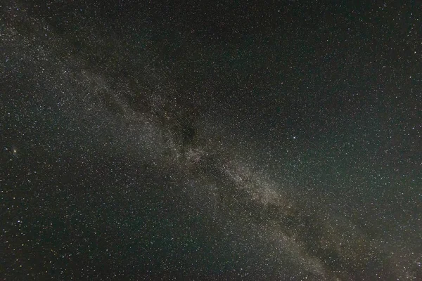 Güzel Samanyolu galaksisinin bir gece gökyüzü ve ağaç silüeti
