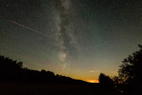 Güzel Samanyolu galaksisinin bir gece gökyüzü ve ağaç silüeti