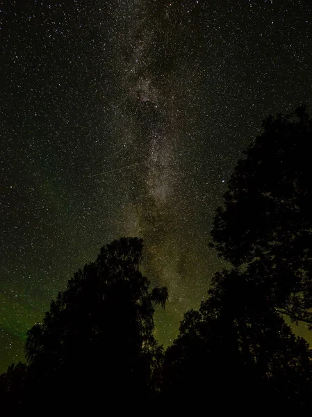 Bela galáxia de caminho leitoso em um céu noturno e silhueta de árvore — Fotografia de Stock