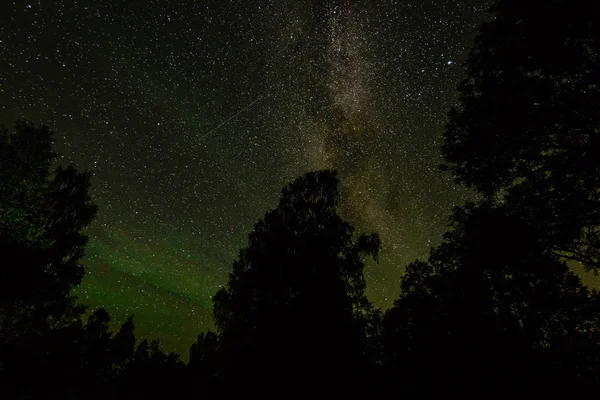 Güzel Samanyolu galaksisinin bir gece gökyüzü ve ağaç silüeti