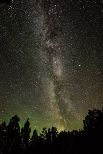 Güzel Samanyolu galaksisinin bir gece gökyüzü ve ağaç silüeti