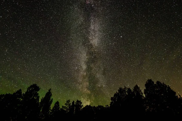 夜の空と木のシルエット美しい天の川銀河 — ストック写真