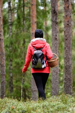 ormandaki doğanın keyfini kırmızı ceketli genç kadın. Letonya