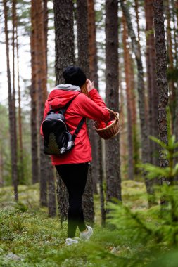 ormandaki doğanın keyfini kırmızı ceketli genç kadın. Letonya