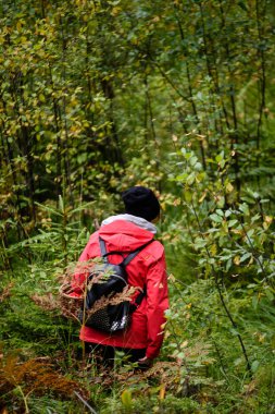 ormandaki doğanın keyfini kırmızı ceketli genç kadın. Letonya