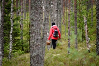 ormandaki doğanın keyfini kırmızı ceketli genç kadın. Letonya