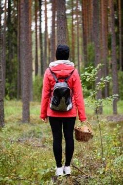 ormandaki doğanın keyfini kırmızı ceketli genç kadın. Letonya