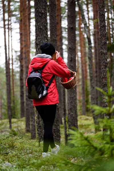 ormandaki doğanın keyfini kırmızı ceketli genç kadın. Letonya