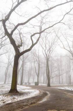 karlı kış şehir parkı sis içinde