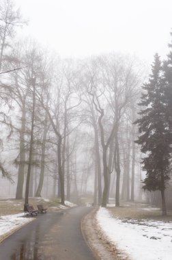 karlı kış şehir parkı sis içinde