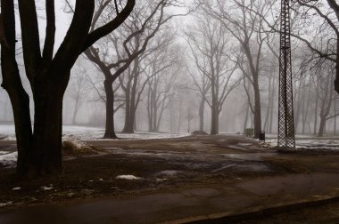 karlı kış şehir parkı sis içinde