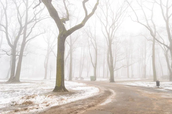 karlı kış şehir parkı sis içinde