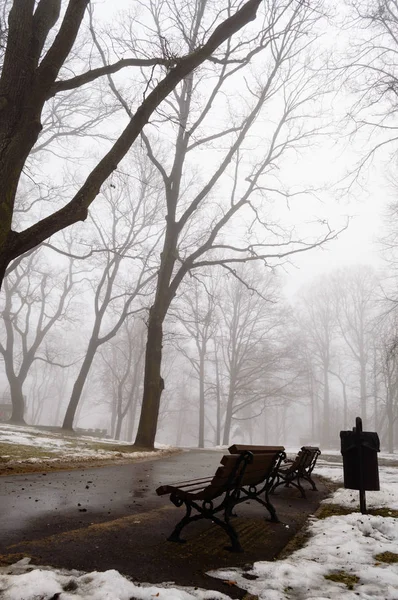 karlı kış şehir parkı sis içinde