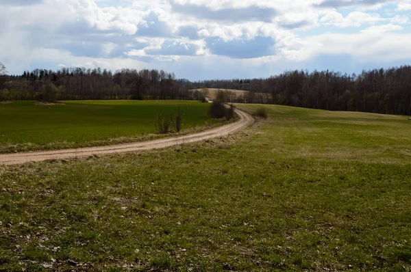 Route de campagne en forêt — Photo