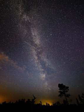 gece gökyüzünde ağaçların üzerinden görülen renkli Samanyolu Gökadası