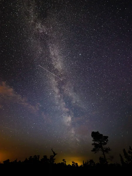 gece gökyüzünde ağaçların üzerinden görülen renkli Samanyolu Gökadası