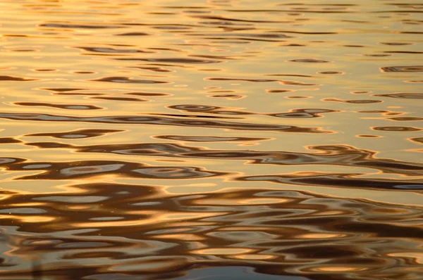 Reflexões na água calma do lago — Fotografia de Stock