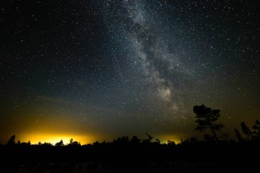 gece gökyüzünde ağaçların üzerinden görülen renkli Samanyolu Gökadası