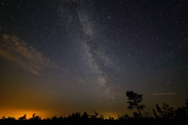 gece gökyüzünde ağaçların üzerinden görülen renkli Samanyolu Gökadası