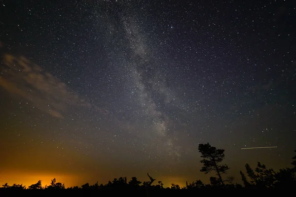 Colorida galaxia de la Vía Láctea vista en el cielo nocturno sobre árboles — Foto de Stock