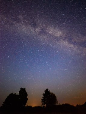 gece gökyüzünde ağaçların üzerinden görülen renkli Samanyolu Gökadası