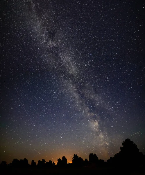 Colorida galaxia de la Vía Láctea vista en el cielo nocturno sobre árboles — Foto de Stock