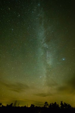 gece gökyüzünde ağaçların üzerinden görülen renkli Samanyolu Gökadası