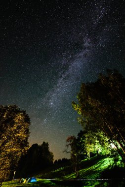 gece gökyüzünde ağaçların üzerinden görülen renkli Samanyolu Gökadası