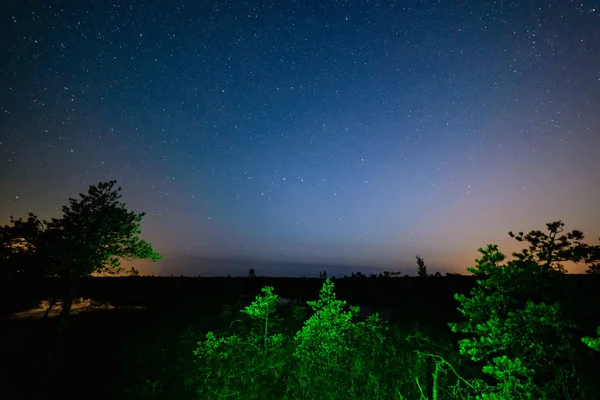 Galáxia forma leitosa colorido visto no céu noturno através de árvores negras — Fotografia de Stock