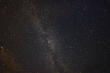 gece gökyüzünde ağaçların üzerinden görülen renkli Samanyolu Gökadası