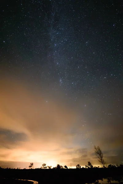Gece gökyüzünde ağaçların üzerinden görülen renkli Samanyolu Gökadası — Stok fotoğraf